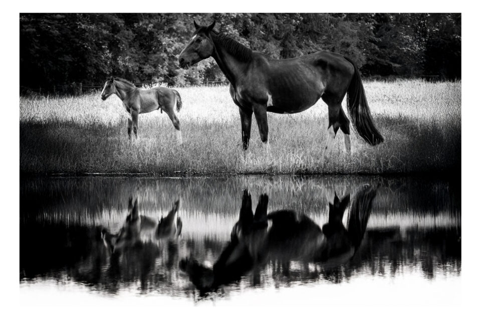 Städte und Landschaften