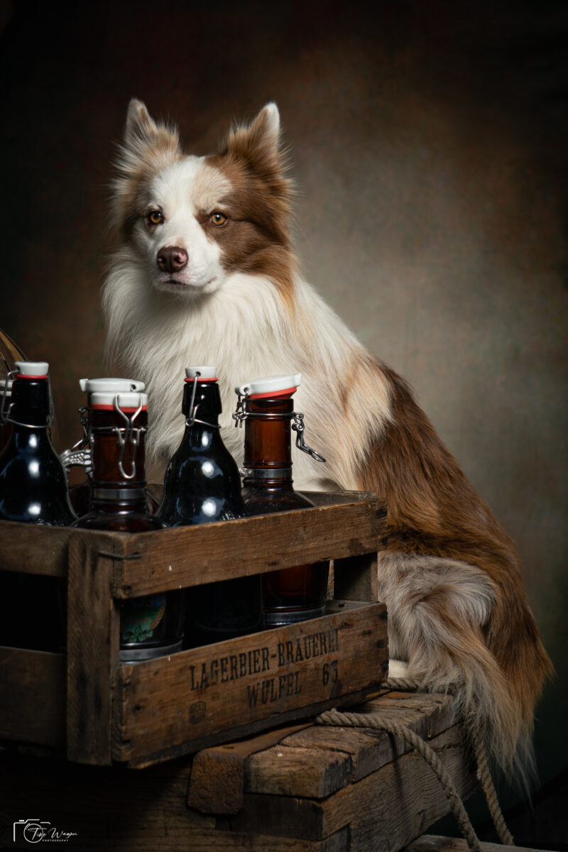 Historischer Ortsrundgang in Ebstorf